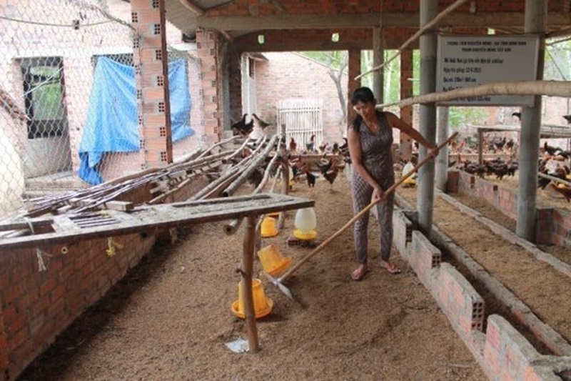Viên nén mùn cưa làm đệm lót hay sưởi ấm cho trang trại nuôi