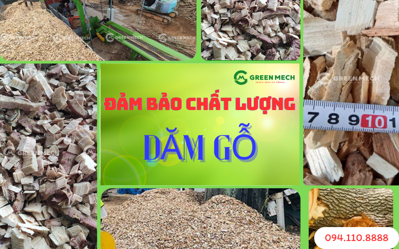 Đảm bảo chất lượng dăm gỗ
