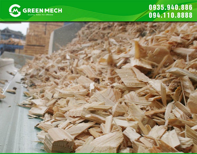 Chất lượng dăm gỗ quyết định đầu ra