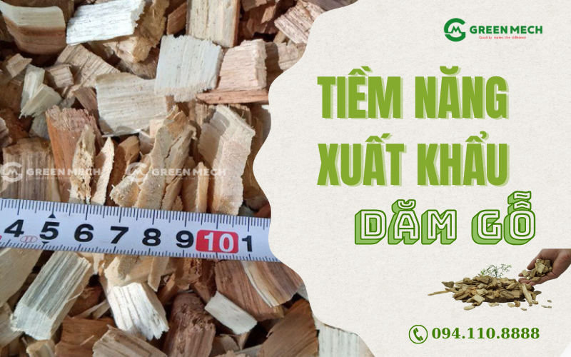 Tiềm năng xuất khẩu dăm gỗ