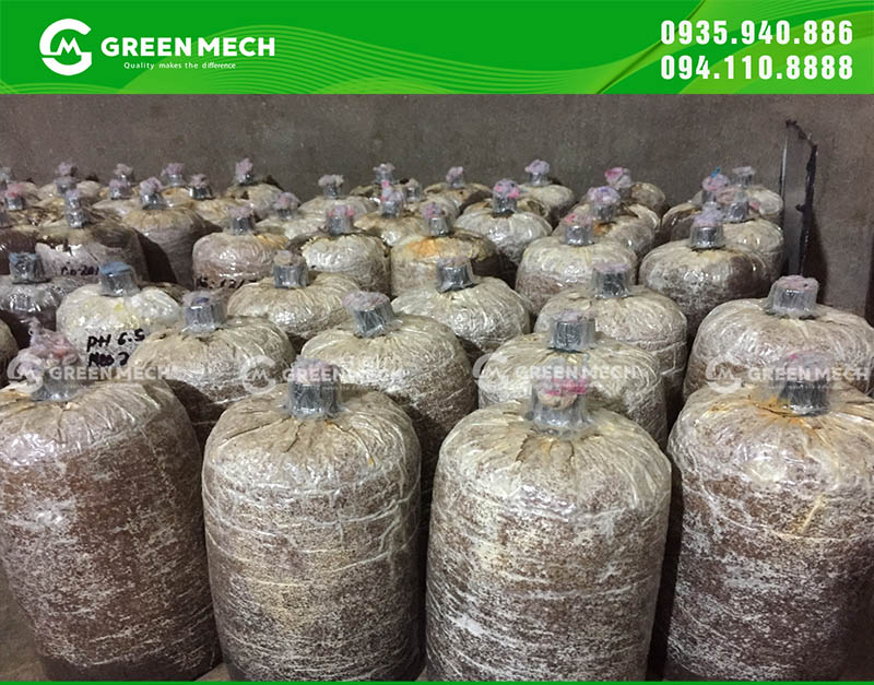 Mùn cưa được sử dụng trong trồng nấm