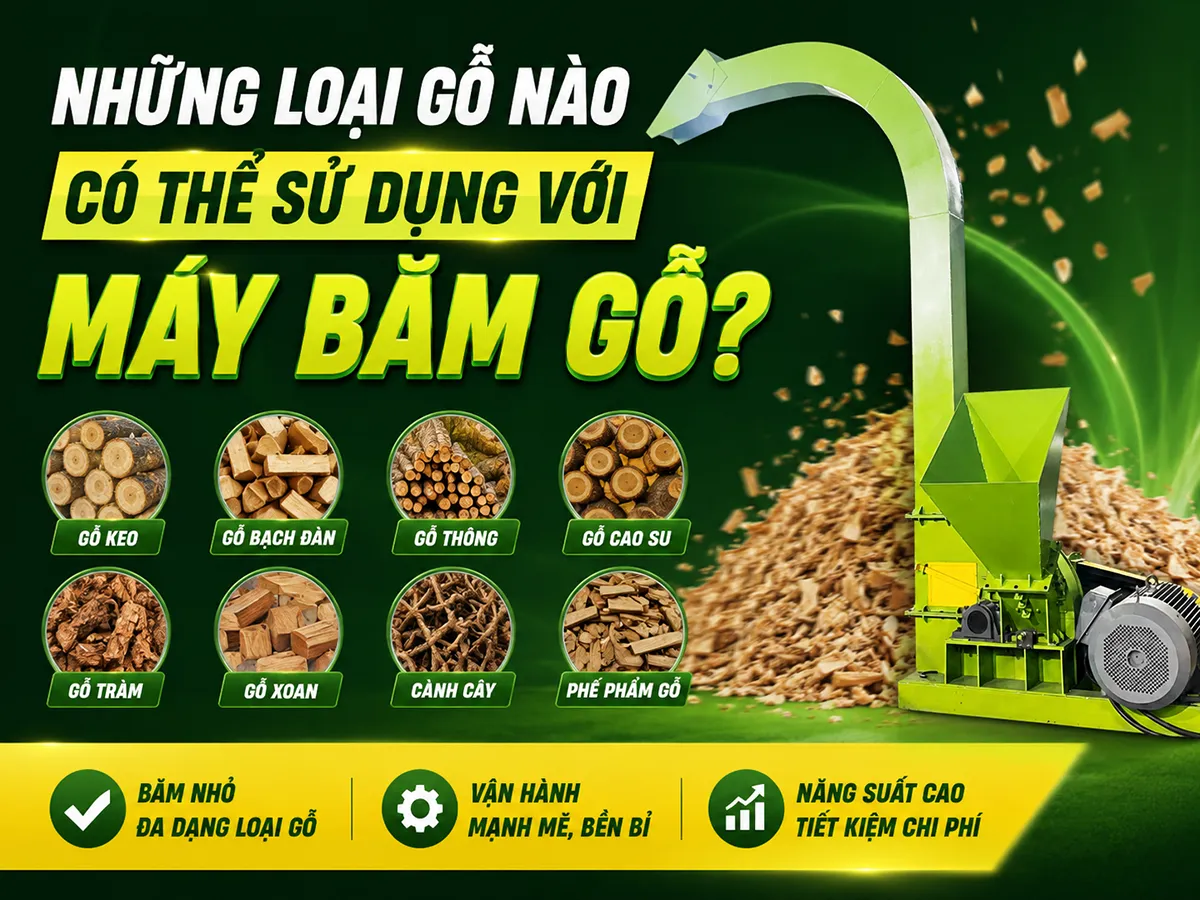 Những loại gỗ nào có thể sử dụng với máy băm gỗ là thắc mắc phổ biến của nhiều doanh nghiệp chế biến gỗ khi muốn tối ưu hiệu quả sản xuất và lựa chọn thiết bị phù hợp