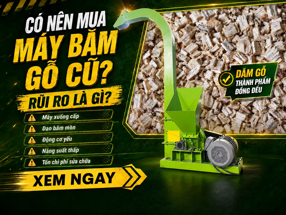 Có nên mua máy băm gỗ cũ không là câu hỏi cần cân nhắc kỹ, vì giá rẻ ban đầu có thể đi kèm nhiều chi phí sửa chữa về sau.