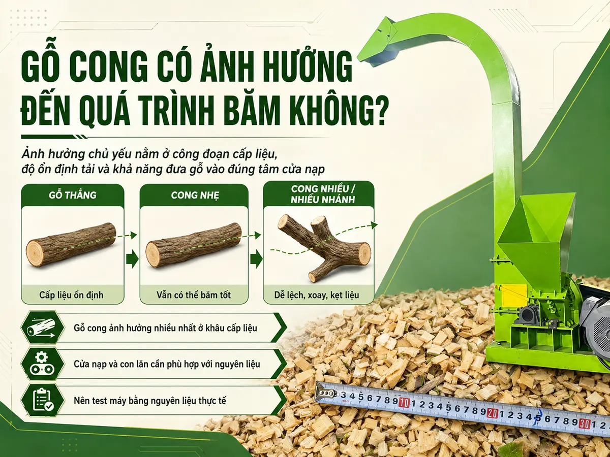 Gỗ cong có ảnh hưởng đến quá trình băm không phụ thuộc nhiều vào độ cong, chiều dài, đường kính và khả năng tiếp nhận nguyên liệu của cửa nạp máy.